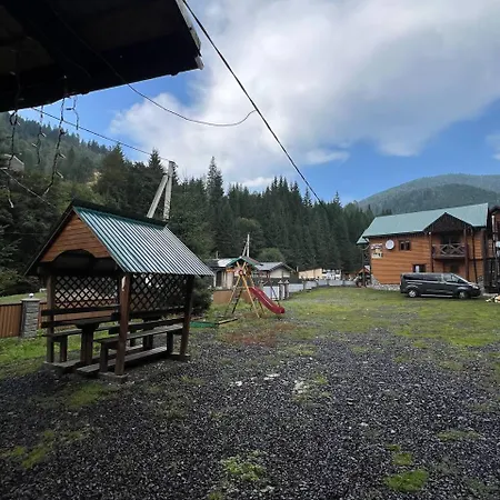 лісова тиша сімейні номера