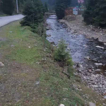 Alojamento de Turismo Selvagem лісова тиша сімейні номера Synevyrsʼka Polyana