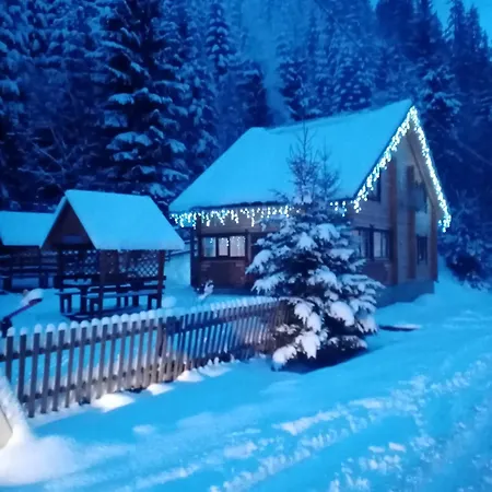 лісова тиша сімейні номера * Synevyrsʼka Polyana